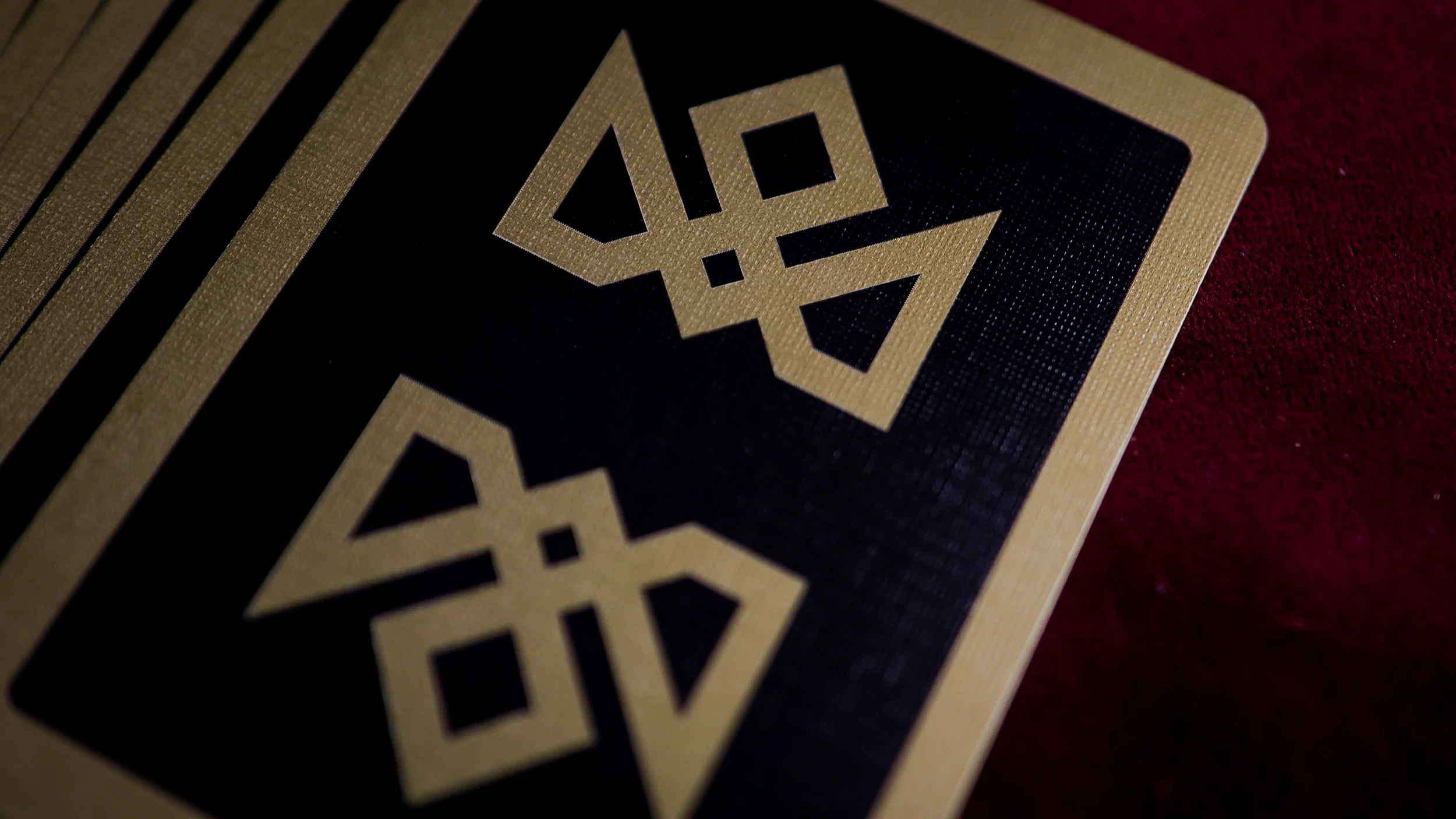 BLACK / GOLD ACOLYTES - Image 5
