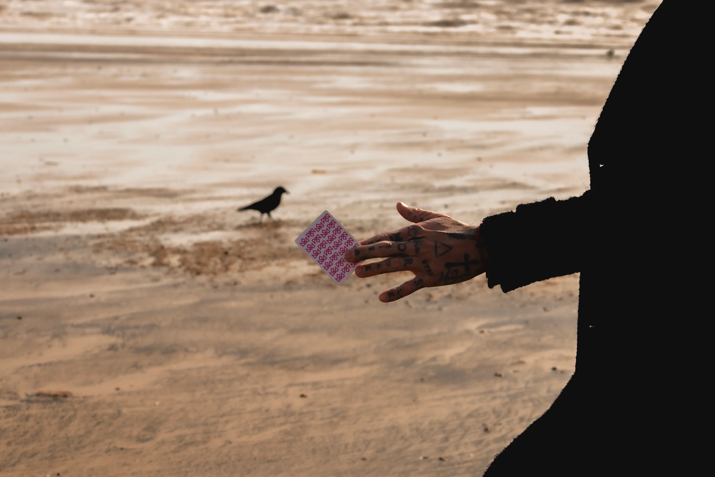 PINK CHARLATANS - Image 26