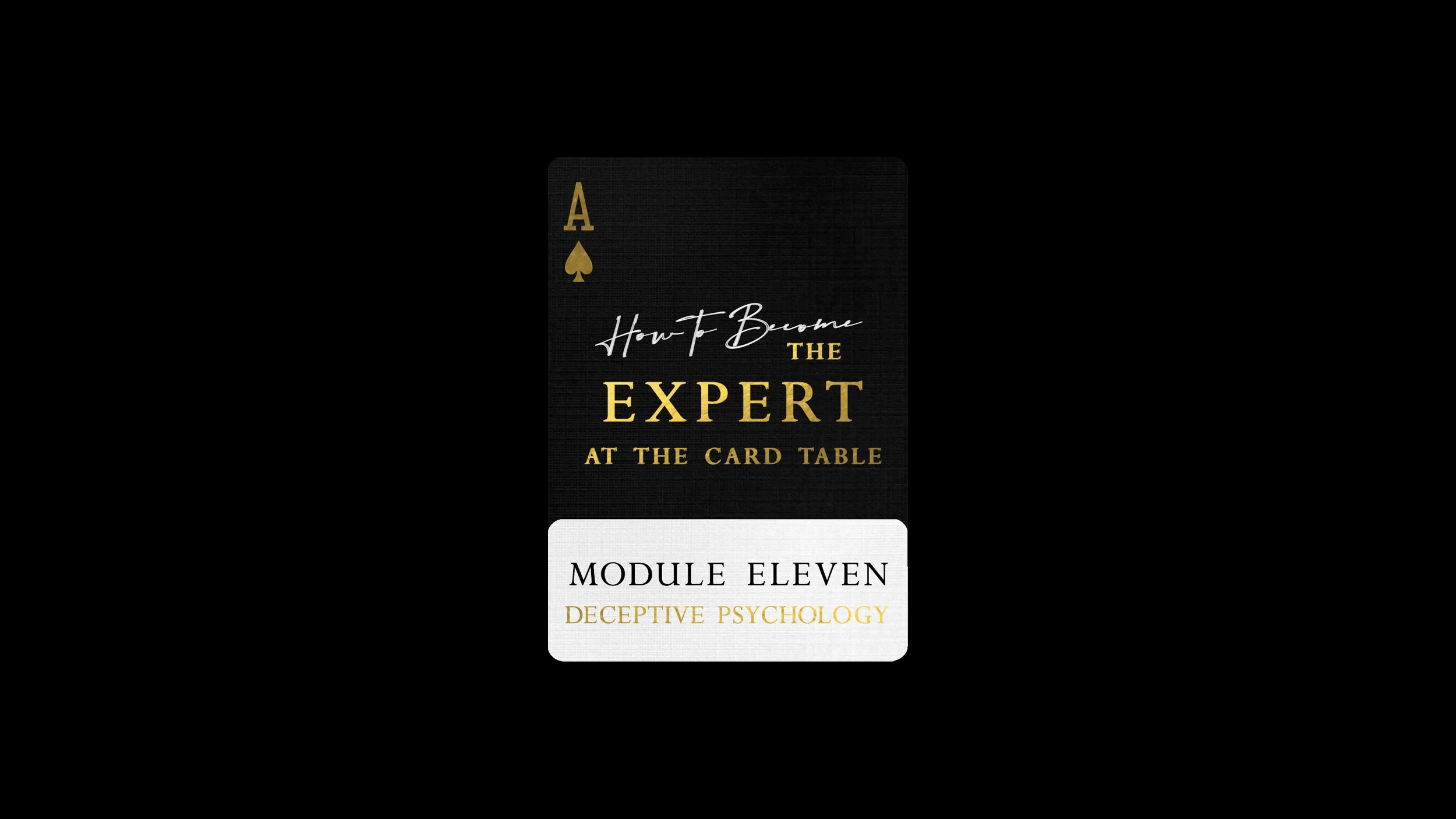 EXPERT: MODULE ELEVEN - Image 3