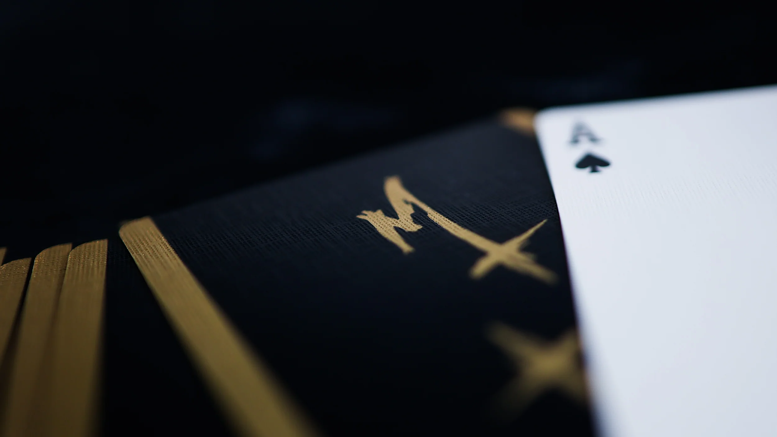 FEARLESS Playing Cards - Image 30