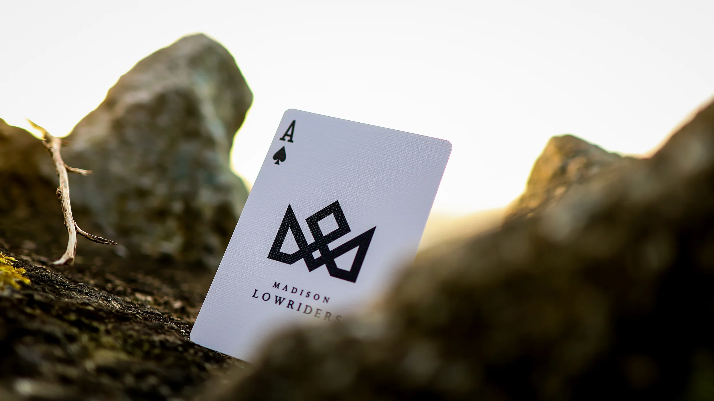 LOWRIDERS Playing Cards - Image 23