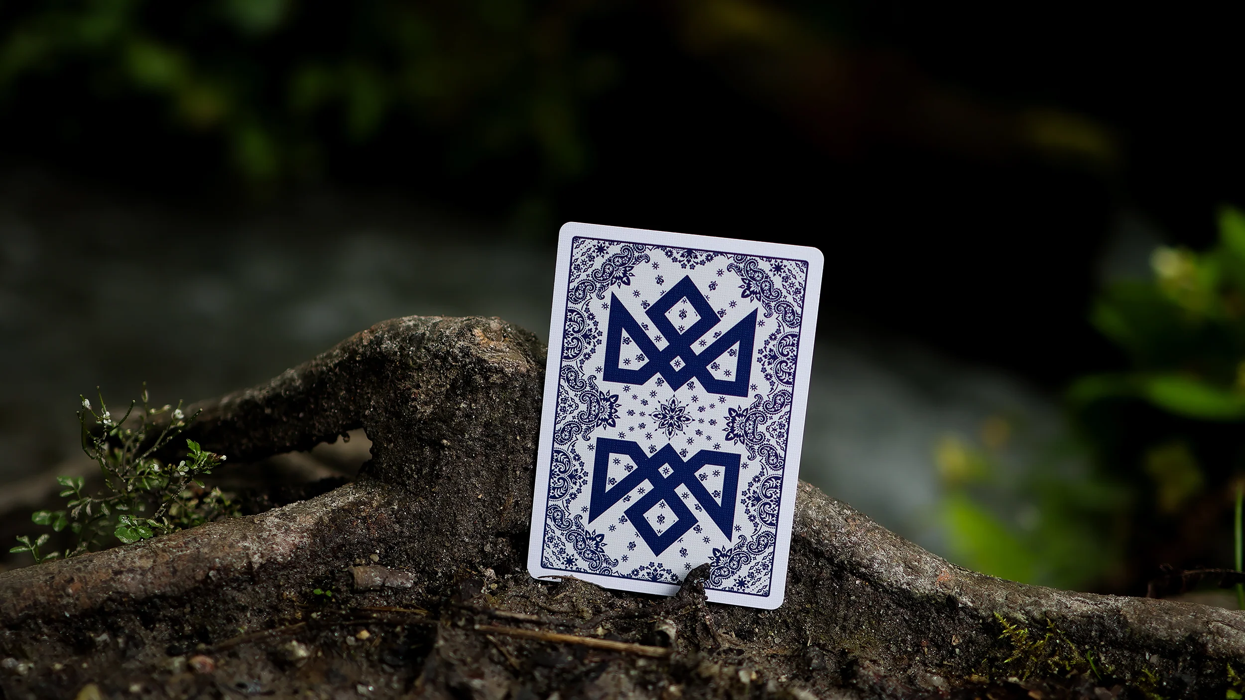 LOWRIDERS Playing Cards - Image 31