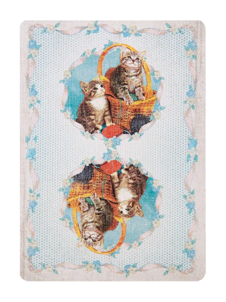 MADISON KITTENS Playing Cards ( BLUE ) - Image 2