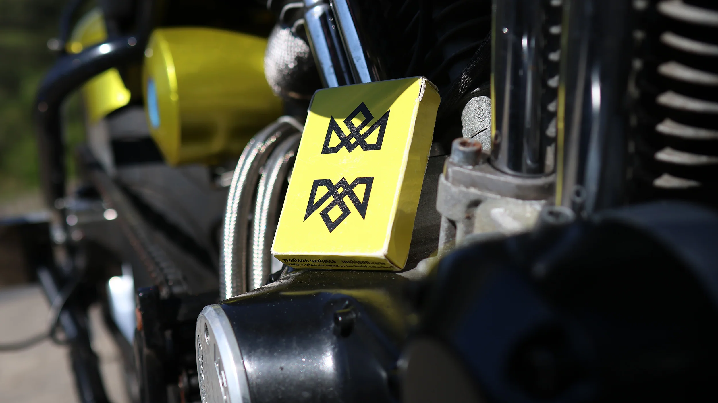YELLOW ACOLYTES - MADISON ONE Entry - Image 7