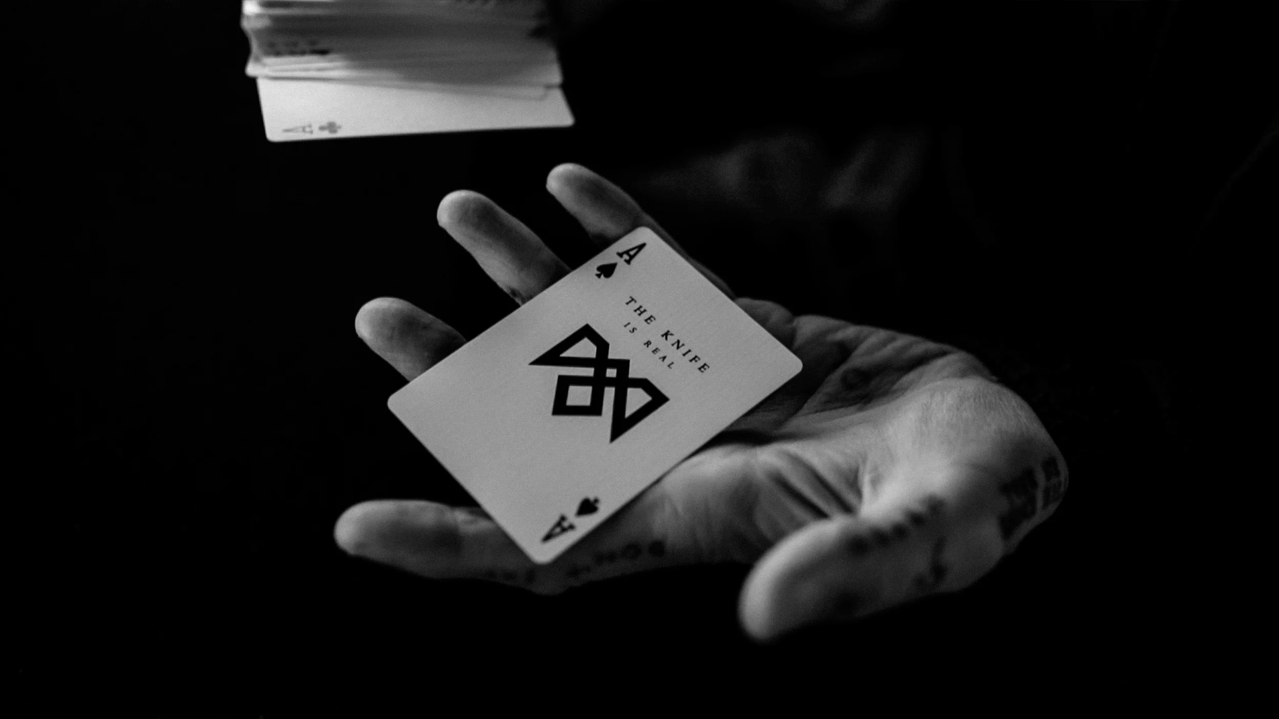 VITA Playing Cards - Image 26