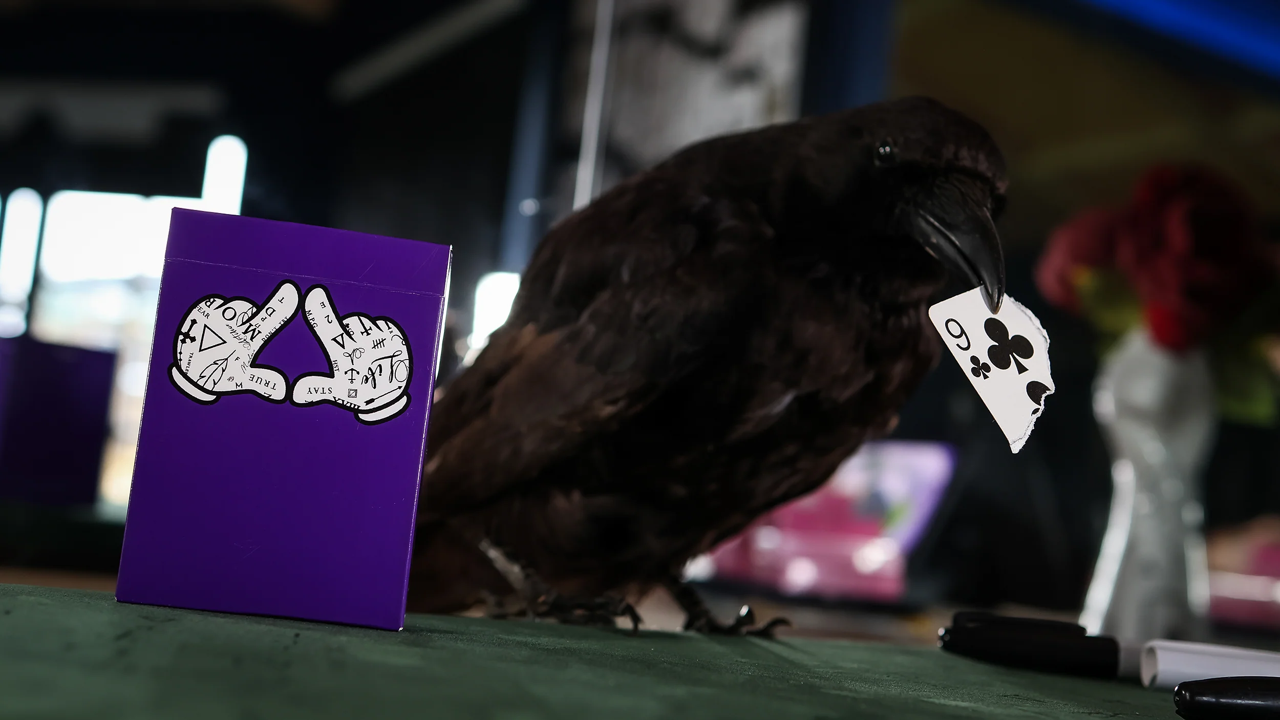 PURPLE BANGERS - Image 26