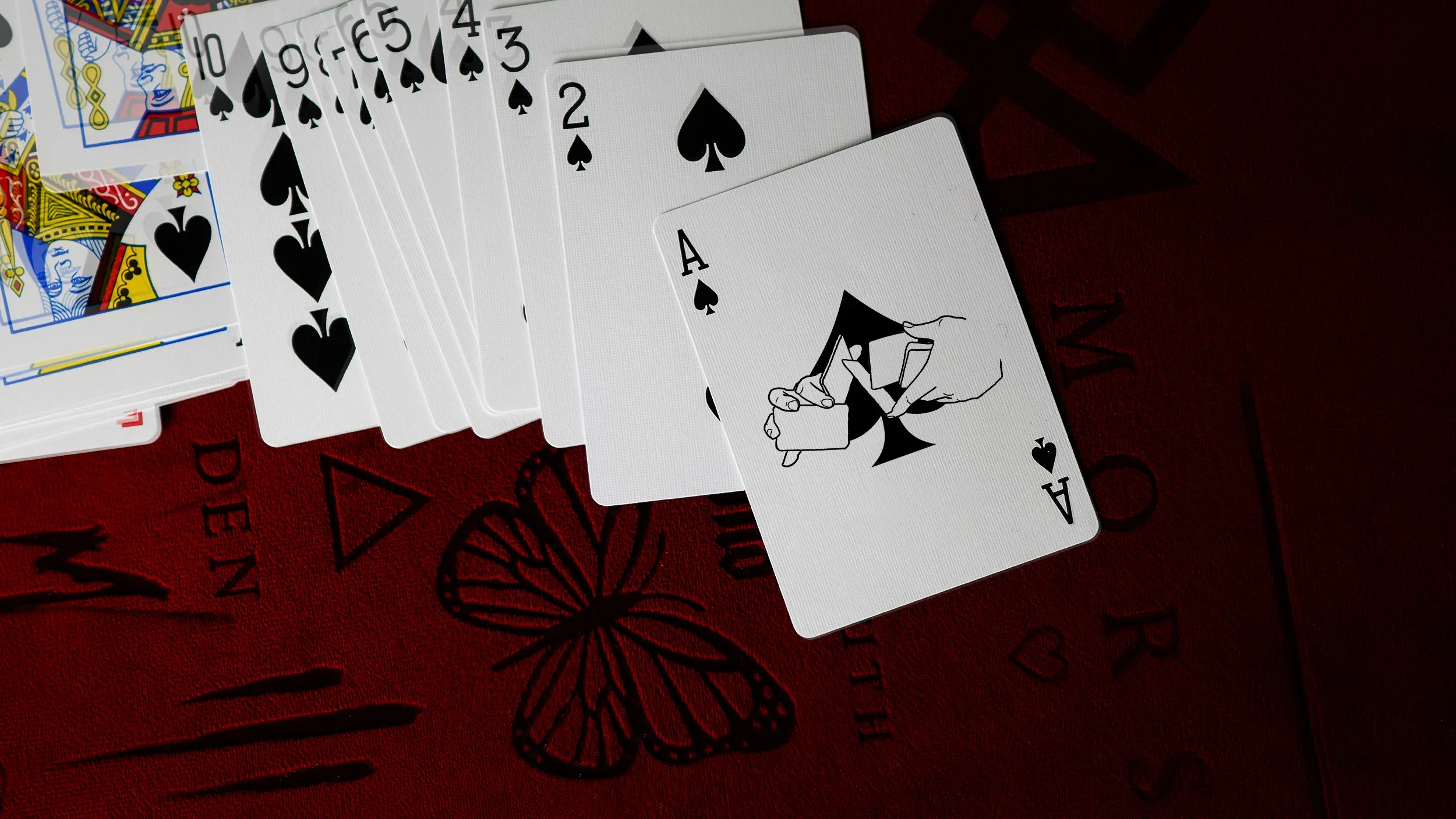 SHUFFLE Playing Cards by Steven Frayne - Image 3