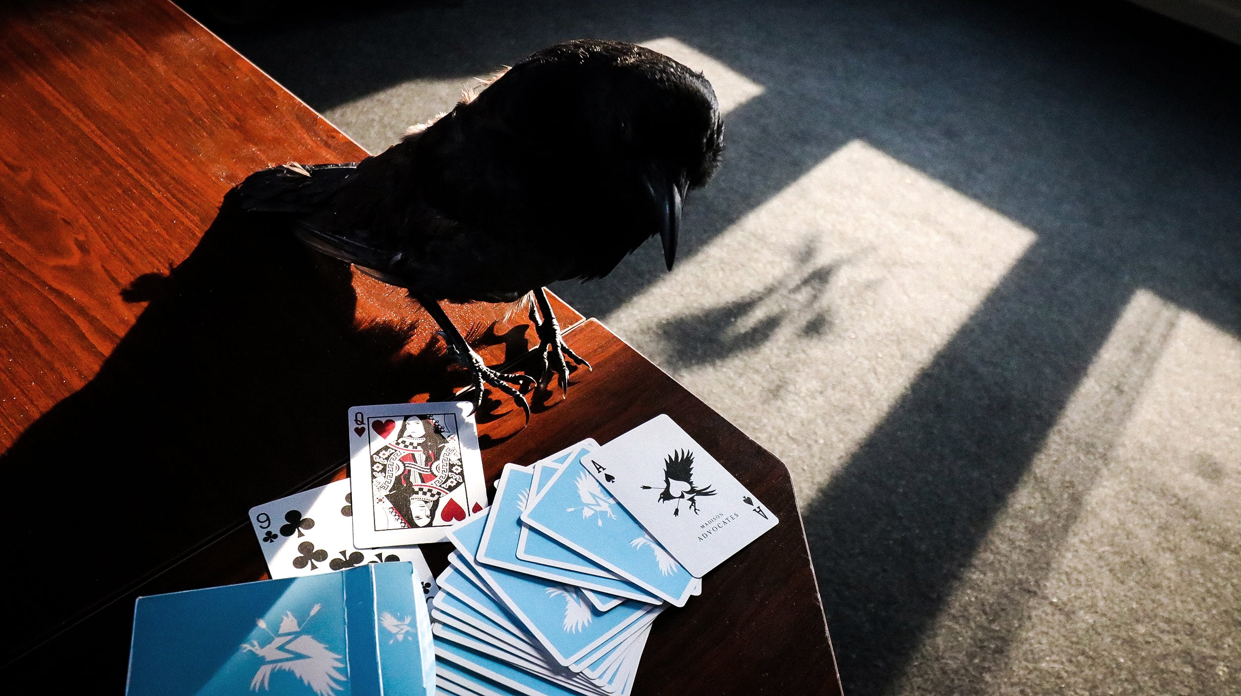 SKY ADVOCATES Playing Cards - Image 10