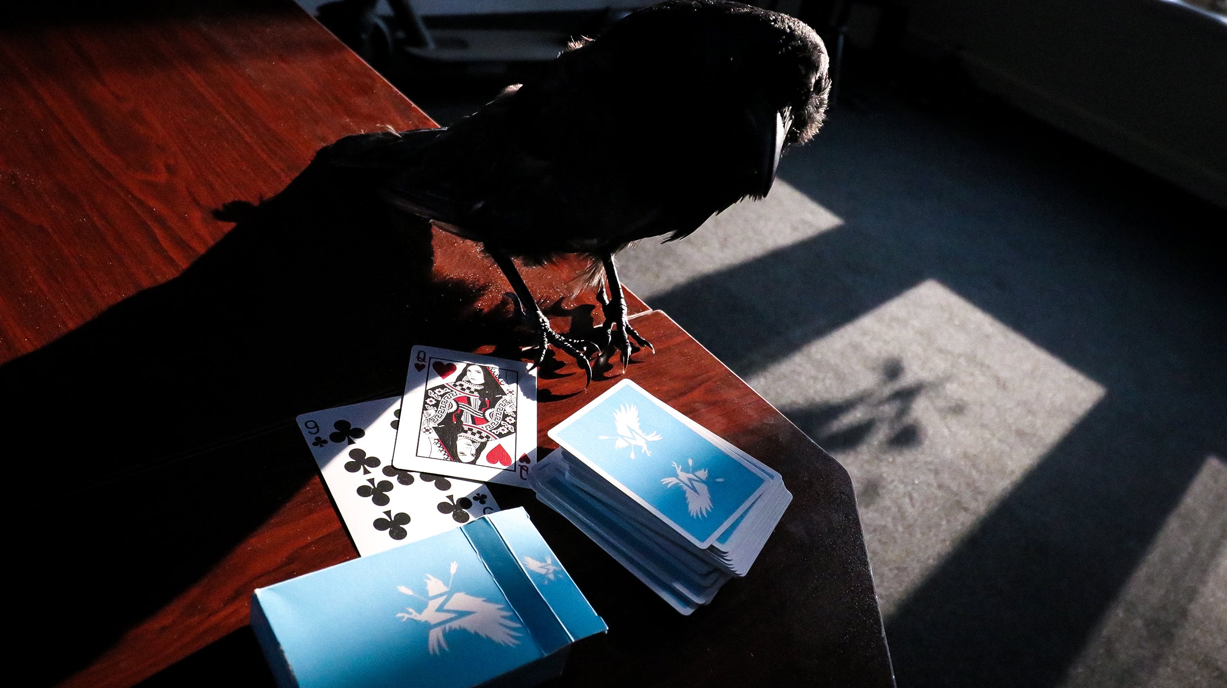 SKY ADVOCATES Playing Cards - Image 8