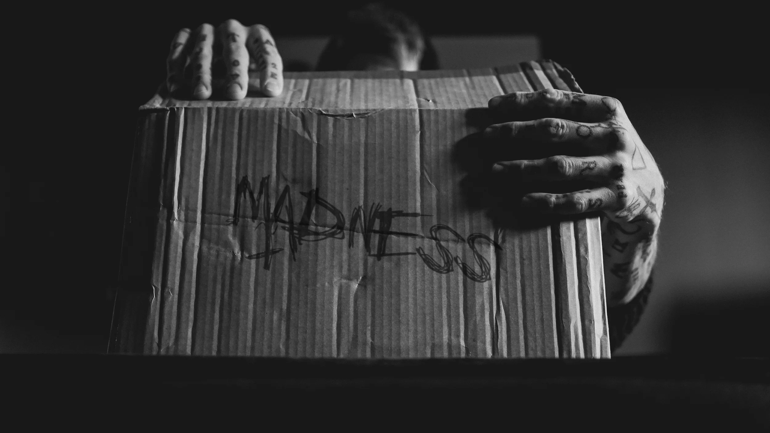 The MADNESS SELECTION - Image 3