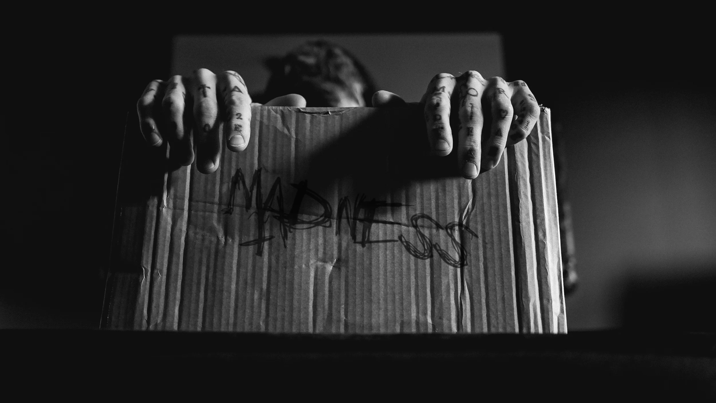 The MADNESS SELECTION - Image 5
