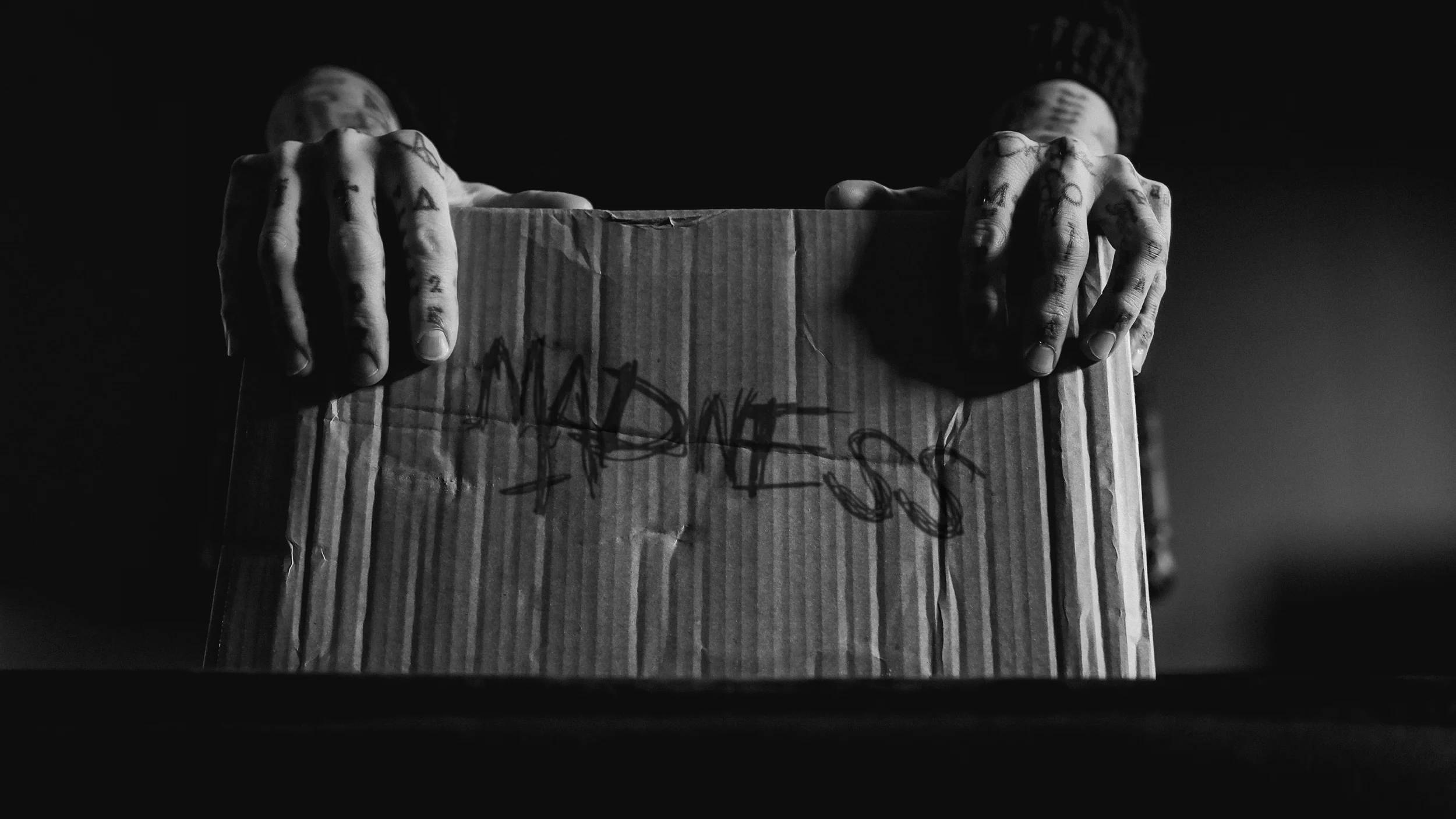 The MADNESS SELECTION - Image 7