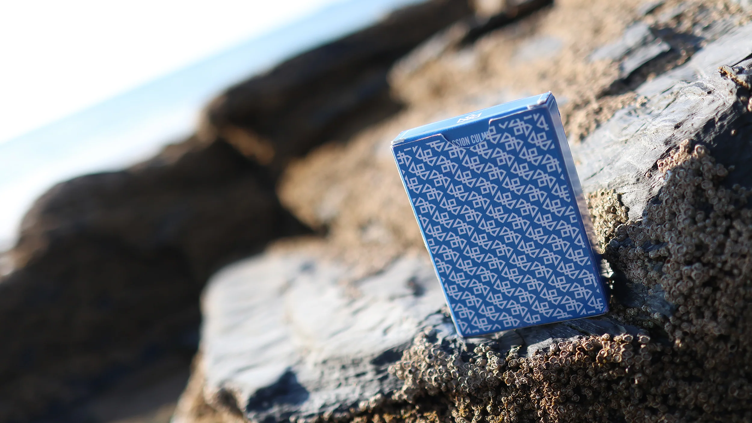 MADISON TWISTERS Playing Cards - Image 10