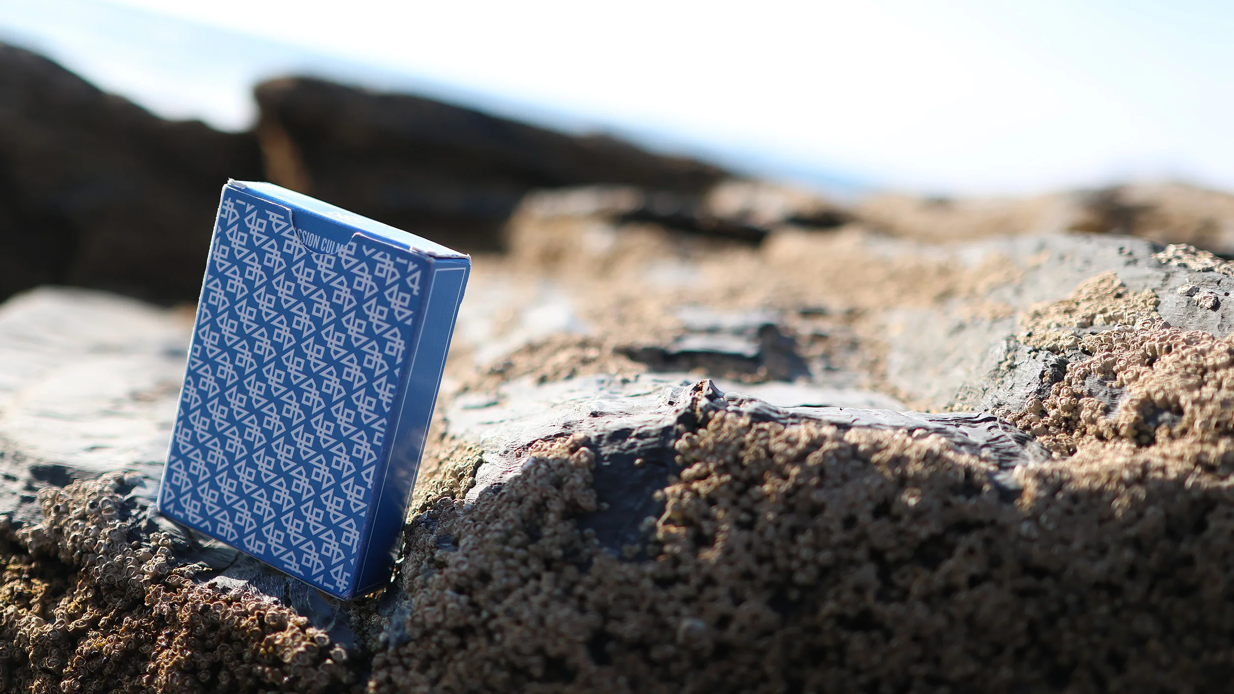 MADISON TWISTERS Playing Cards - Image 31
