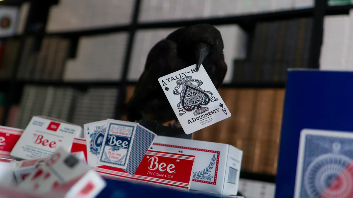 USPCC GROSS / 144 Decks of Playing Cards - Image 10