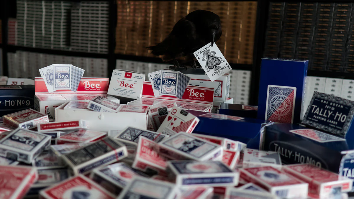 USPCC GROSS / 144 Decks of Playing Cards - Image 13